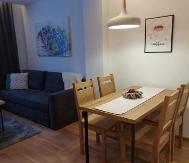 Jahorina Apartment | Zlatni javor Apartman 401
