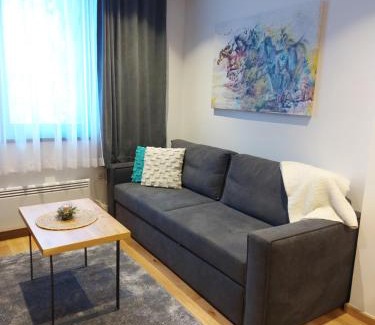 Jahorina Apartment | Zlatni javor Apartman 401