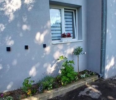 Central Serbia Apartment | Zlot ,Maljenik, Zlotske pecine