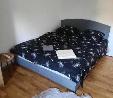 Mladenovac Apartment | ZMAJ lux