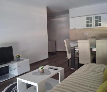 Mladenovac Apartment | ZMAJ lux