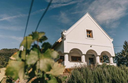 Hegymagas House | Zsálya Présház