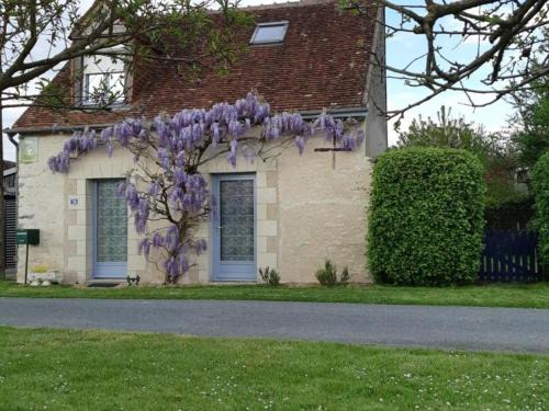 Évasion à Luzillé : Havre de Paix avec Jardin Privatif, proche Chenonceau et Beauval - FR-1-381-303