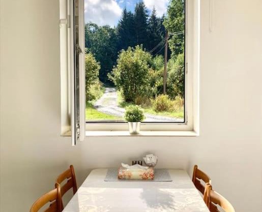Útulný byt v Jizerských horách -Apartmán Mili