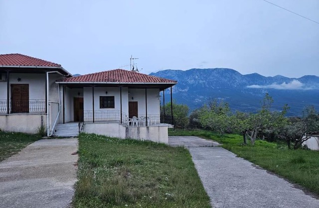Ελαιώνας με θέα στο βουνό