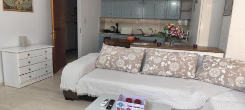 Ευρύχωρο και άνετο διαμέρισμα στην Ιτέα Joanna's Apartment