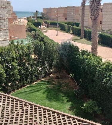 العين السخنة