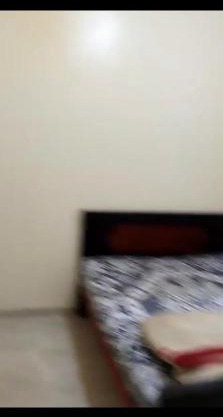 زهراء العجمي اسكندرية العجمي