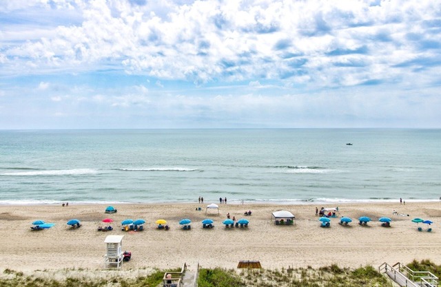 0711 Turtle Haven by Atlantic Towers