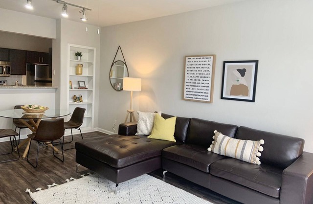 1 BR @ Med Center with Hermann Park View