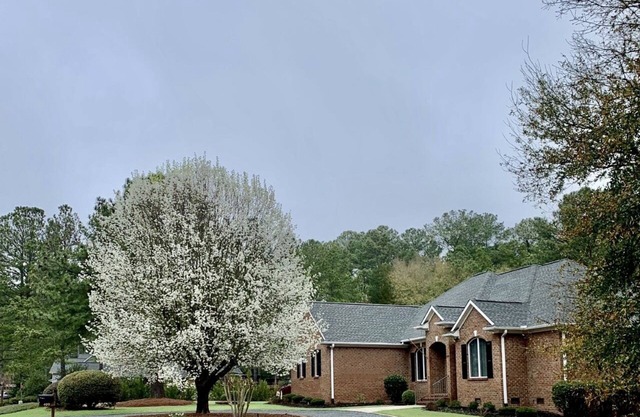 1 Mile From PCC Golf Course nOne Level Home