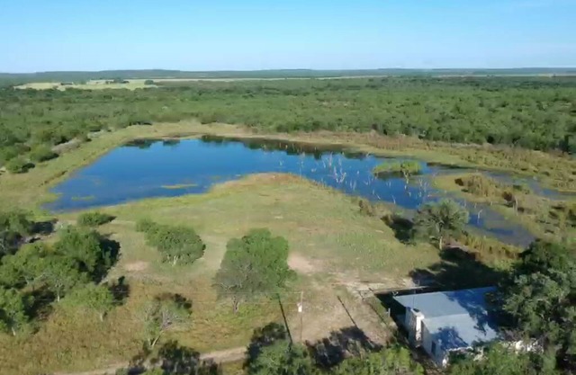 10+ near Hondo in D’Hanis TX.
