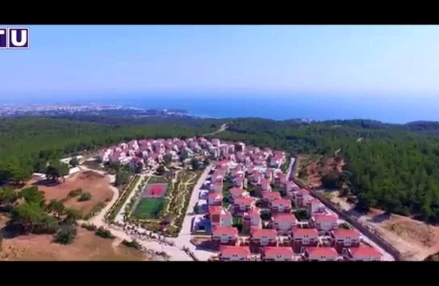 12 months for rest...