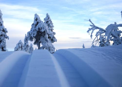 14 - Fulufjellets nasjonalparker - Natur-, dyre- og fugleopplevelser