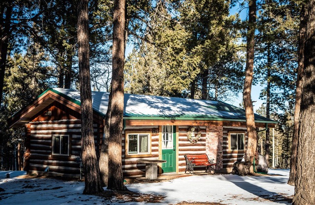 1950's Retro Cabin on 40 Wooded Acres