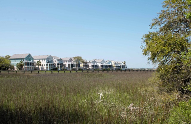 1Br/1Ba Close to Beach & Shops- Heron's Nest