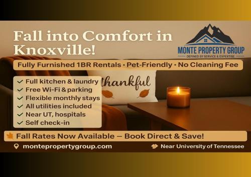 1BR Near UT & Hospitals Quiet & Cozy Pet Friendly