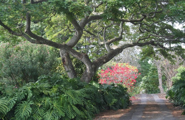 2.7 Acres of Exceptional, Secluded Retreat - Close to Beach & Shopping!