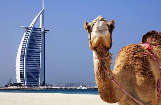 2 Bedroom Apartment at Dubai Marina