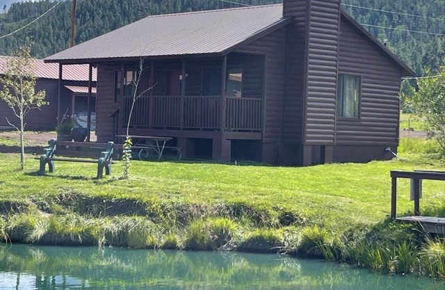 2 BR-1BA Log Cabin on Main Street. Stocked trout pond, fireplace, porch, Dogs Ok