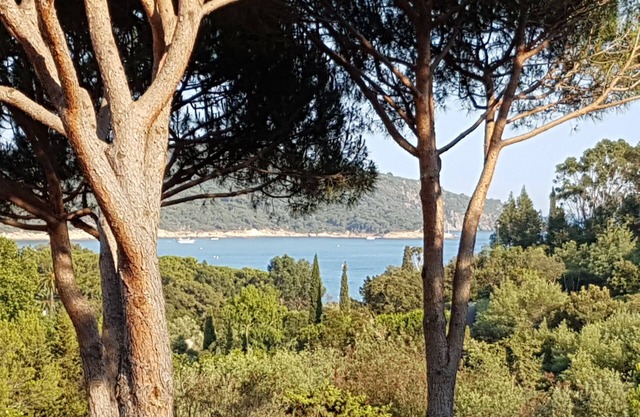 2 room apartment GIGARO sector with sea view