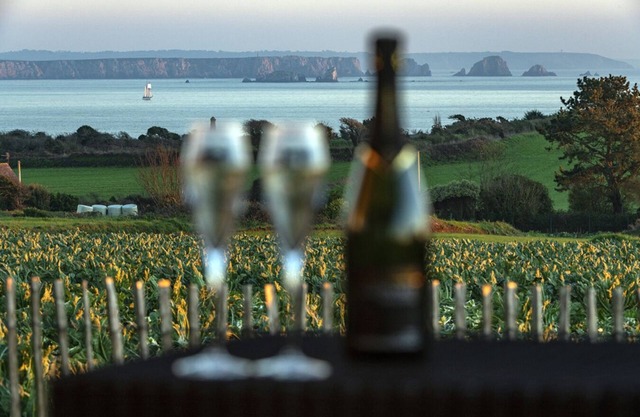 2 seaside houses, 2 spa, enclosed property, luxury, Finistère