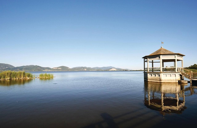 3 bedroom accommodation in Torre del Lago -LU-