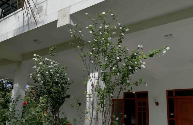 3-bedroom villa within 12-minute drive to Bandaranike Airport.