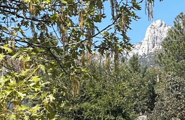 3-Bedrooms in Idyllwild - AC, nJacuzzi, Sauna, Fitness-Game Room, Epic Views