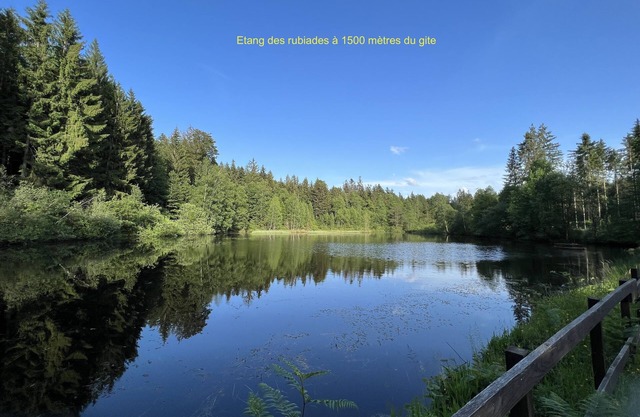 3-person gite on the edge of a forest near hiking trails