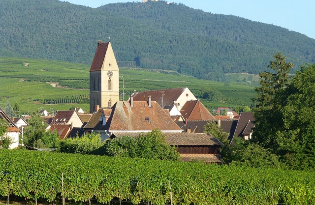 3-room apartment for 2/5 people on the edge of a vineyard