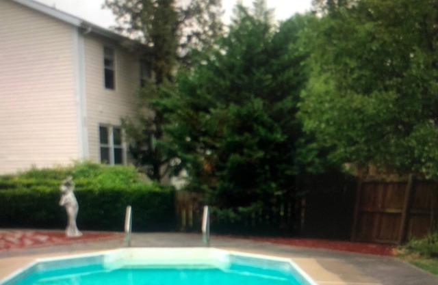 4 bedroom Oasis with Pool in Quiet Neighborhood