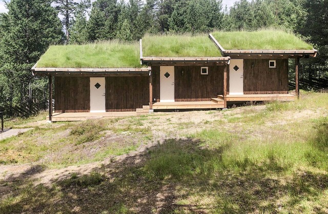 4 bedroom stunning home in Tynset