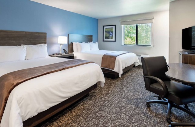 4 Spacious Studios for Families and Pet Owners – with Fully Equipped Kitchen!
