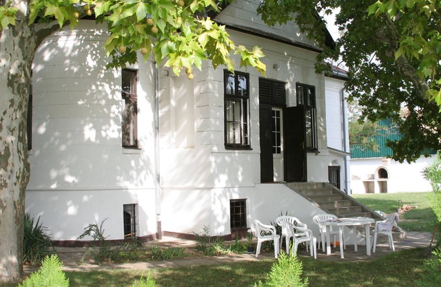 6224 Tabdi Bucka d. 35