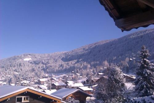 7-28 day stay for best rates- Chalet Les Carroz