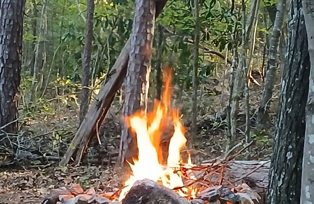 A crackling campfire, a creek & deer outside your tent & we have a nature trail!