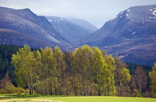 A delightfully cosy Highland retreat with 4 star quality, comfort and style for 4-6 guests.