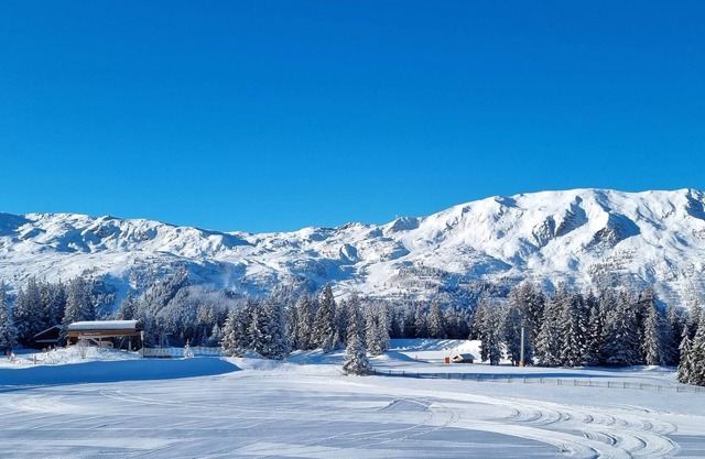 A fully renovated premium apartment with a dream view in Meribel Altiport,France