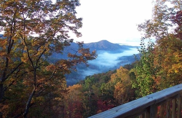 A Little Bit of Heaven