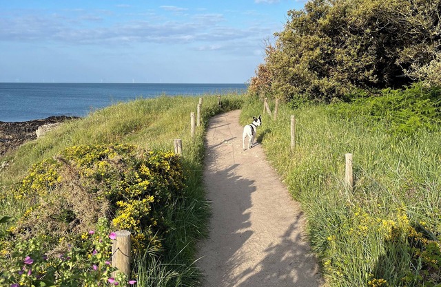 A paradise for lovers of the sea, nature and sport