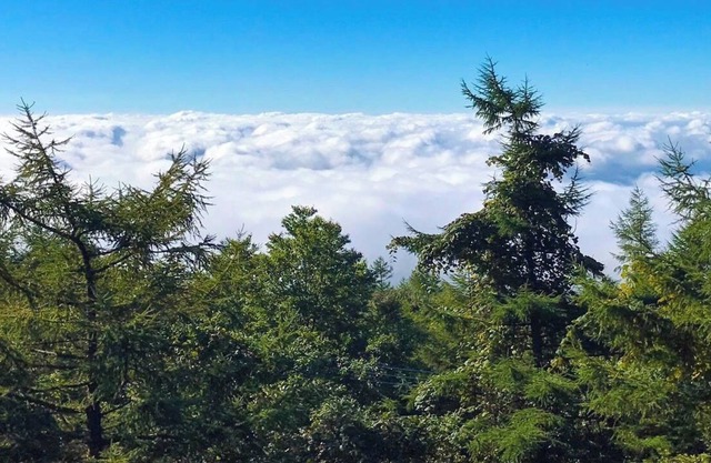 A spectacular view A view of the Kanto Plain The - Shimoda House / Nasu-gun Tochigi