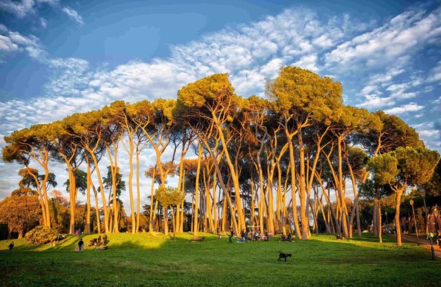 A stone's throw from San Pietro and Villa Pamphili