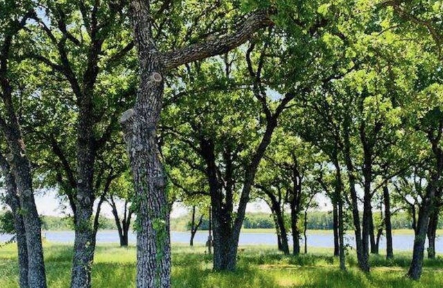 A true elegant, peaceful getaway, Close to Waco, Magnolia Silos and Waco