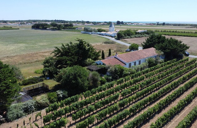 A unique house surrounded by an amazing garden - Sleeps 12- Ile de Ré