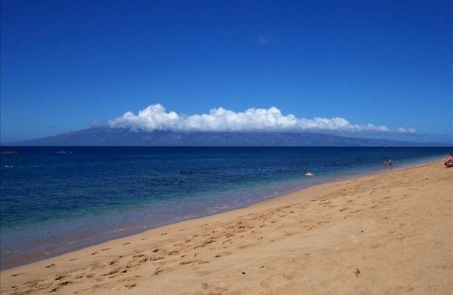 A unique dolphin cabin in Kaanapali!