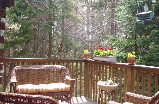 Acadia Cabin on 2 Secluded Wooded Acres near Bar Harbor