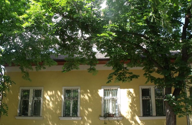 Adalbert Ház