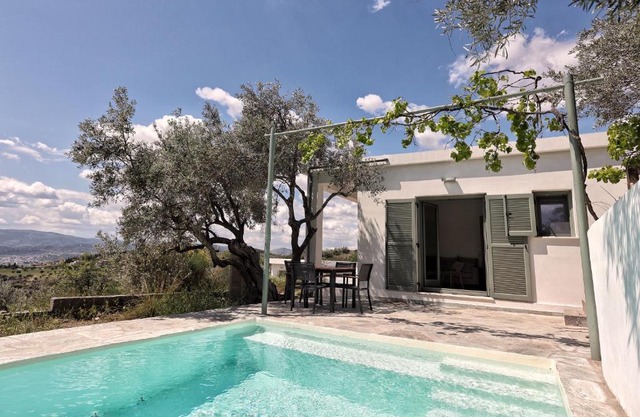 Admonis - Home in the olive grove