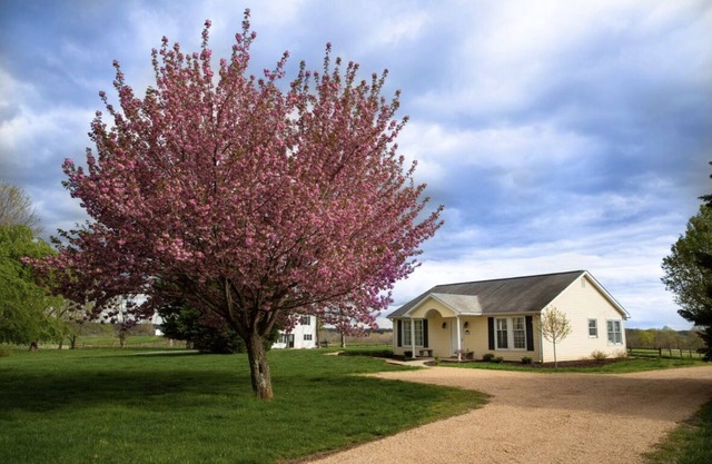 Adorable Manor Cottage on West Manor Estate in Forest, Virginia.